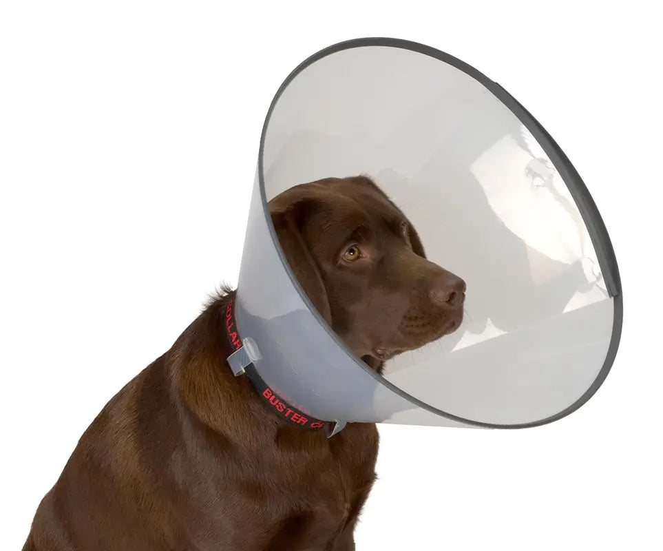 Collar Isabelino Comfort 7,5, 5Uds