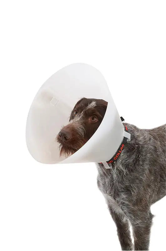 Collar Isabelino Opaco 25, 10Uds