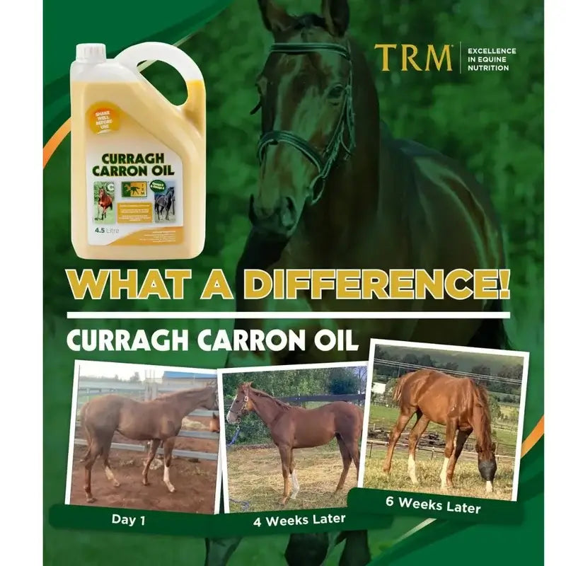 Curragh Carron Oil 4,5 Litres. Omega 3-6