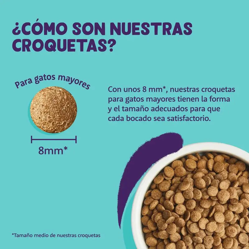 Edgar & Cooper Pienso Para Gatos 2kg Senior Pollo Fresco De Corral Y Pavo Fresco De Corral, Arándanos, Hoja De Ortiga Y Salvia
