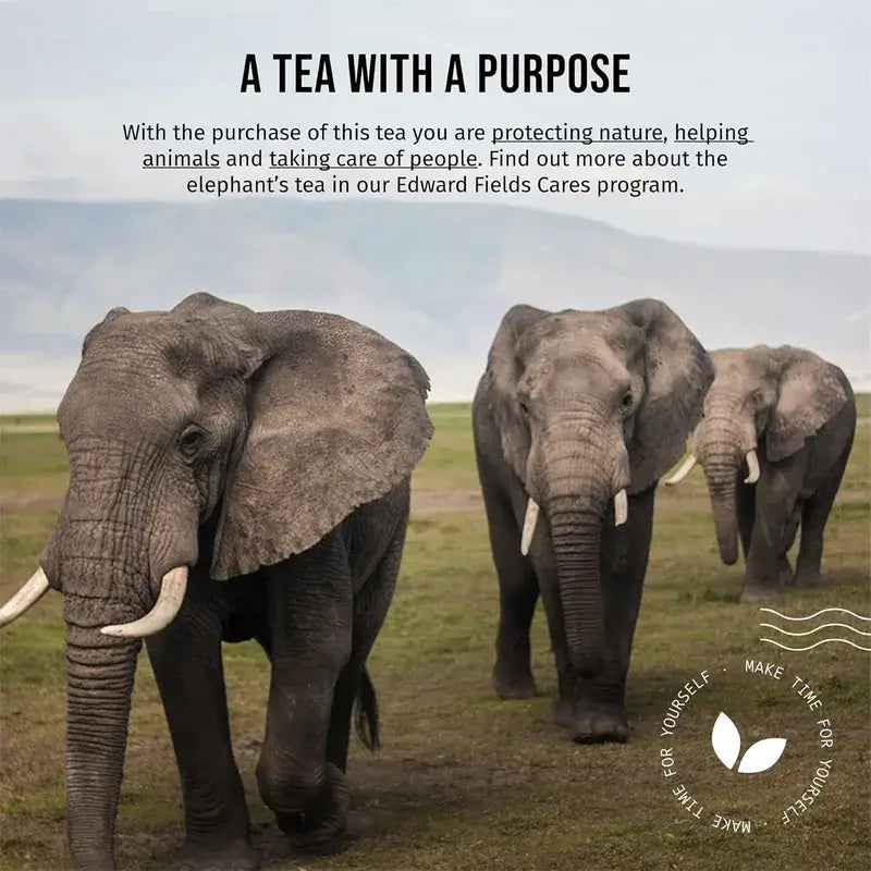 Edward Fields Tea Organic Green Tea in Bulk with Ginger & Lemon, 100 gm