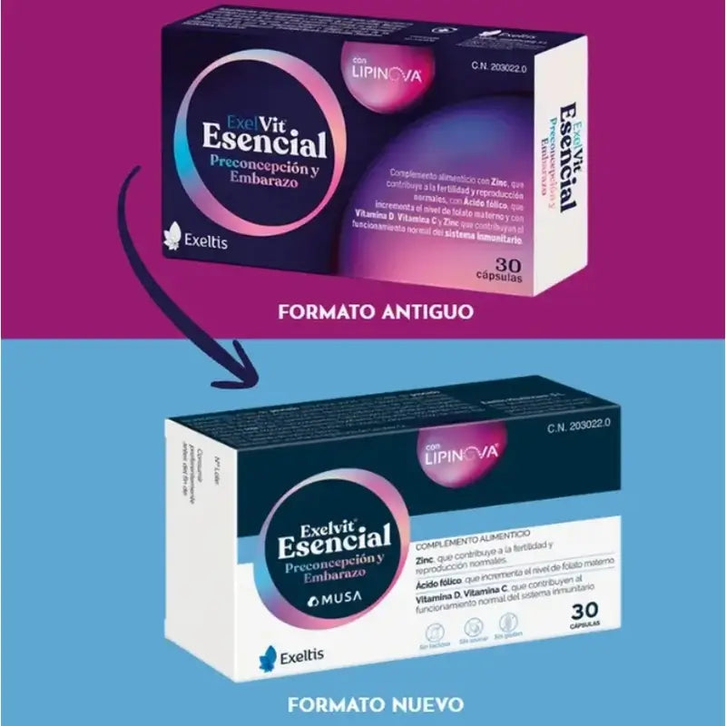 Exelvit Essential Preconception and Pregnancy, 6x30 Capsules