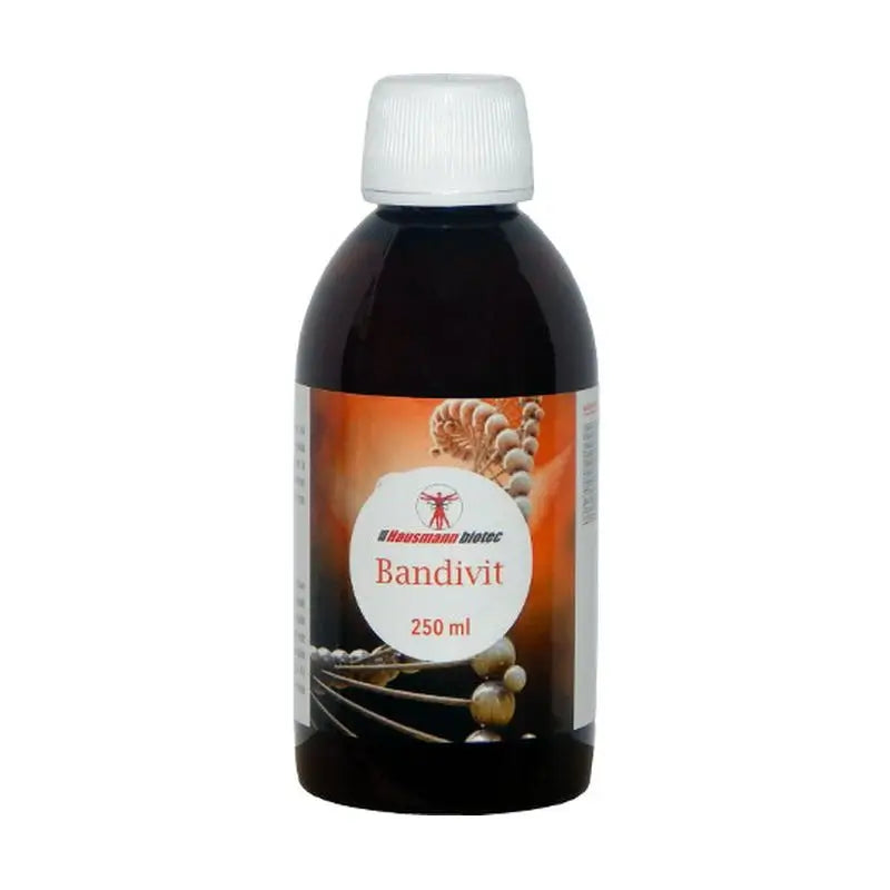 Hausmann B Bandivit Jarabe , 250 ml