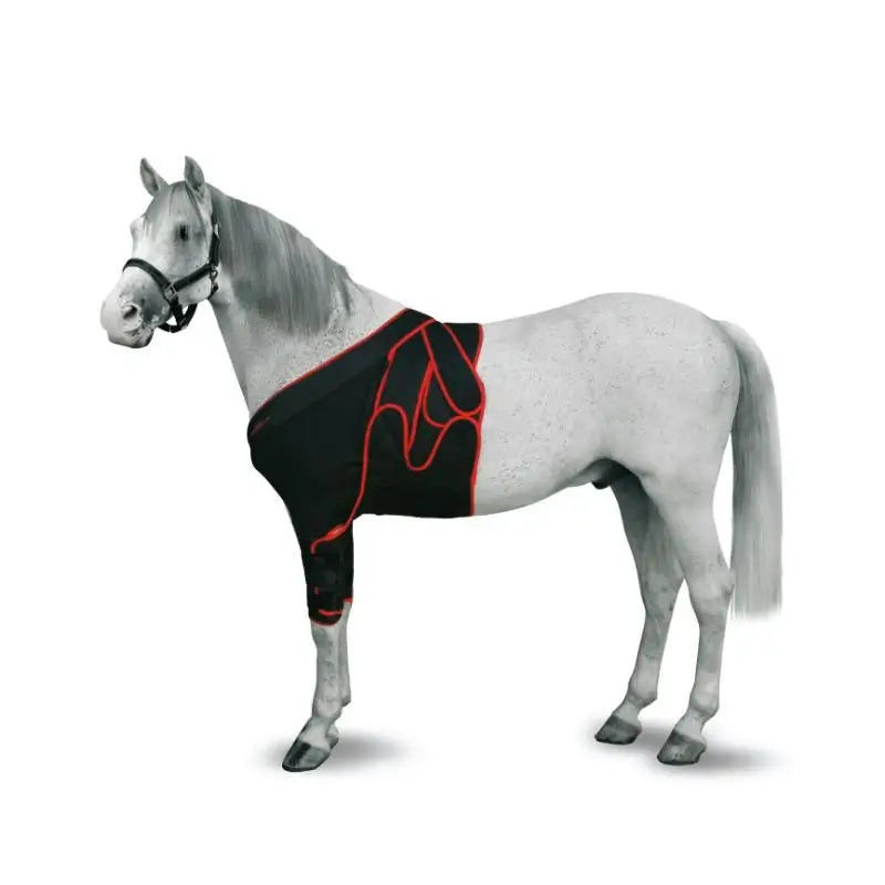 Kruuse Equine Venda Frontal M 12Uds