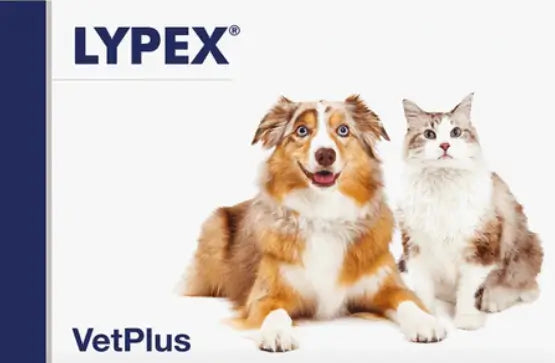 Lypex Dogs & Cats, 60 Capsules