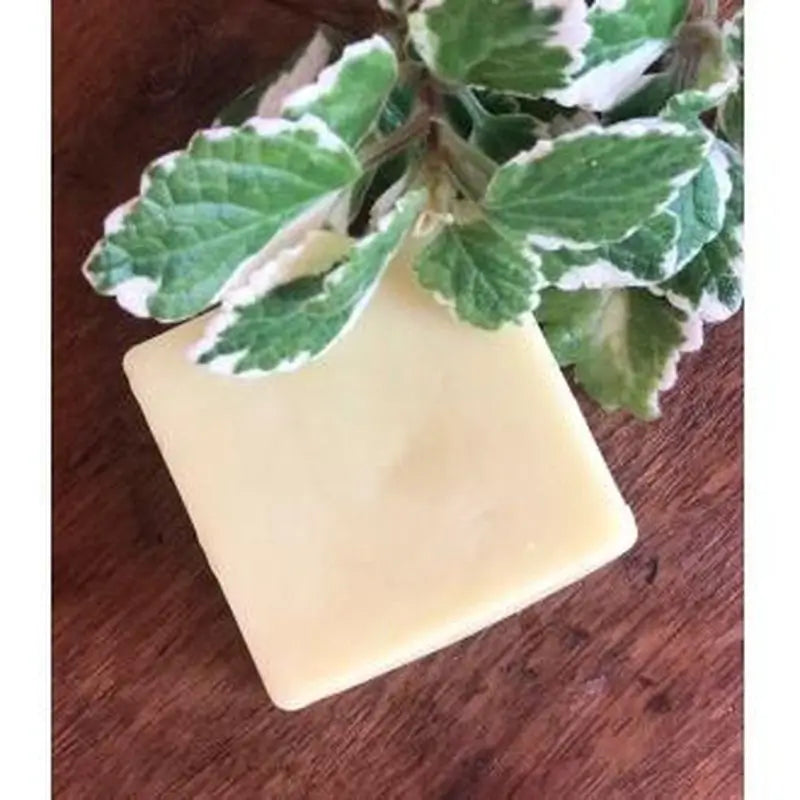 Nitx Acondicionador Solido Cabello Fino 55Gr.