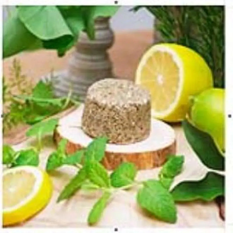 Nitx Solid Anti-Greasy Shampoo 85Gr.