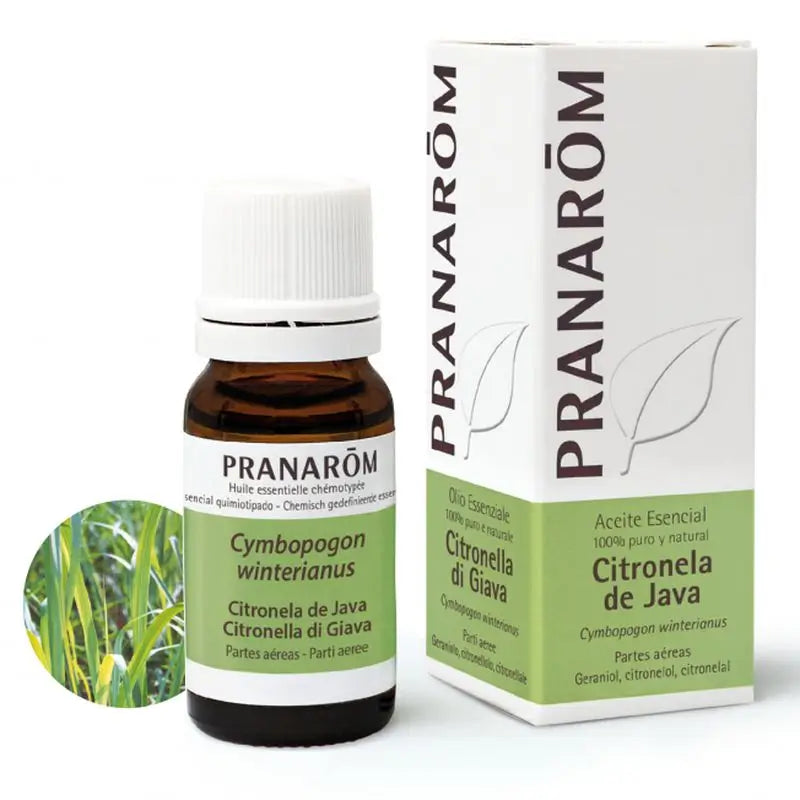 Pranarom Citronella Java Essential Oil, 10ml