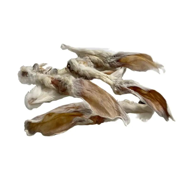 Puromenu Rabbit Ears, 5 units