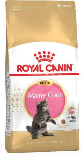 Buy Royal Canin Kitten Maine Coon 4Kg cat food at the best price