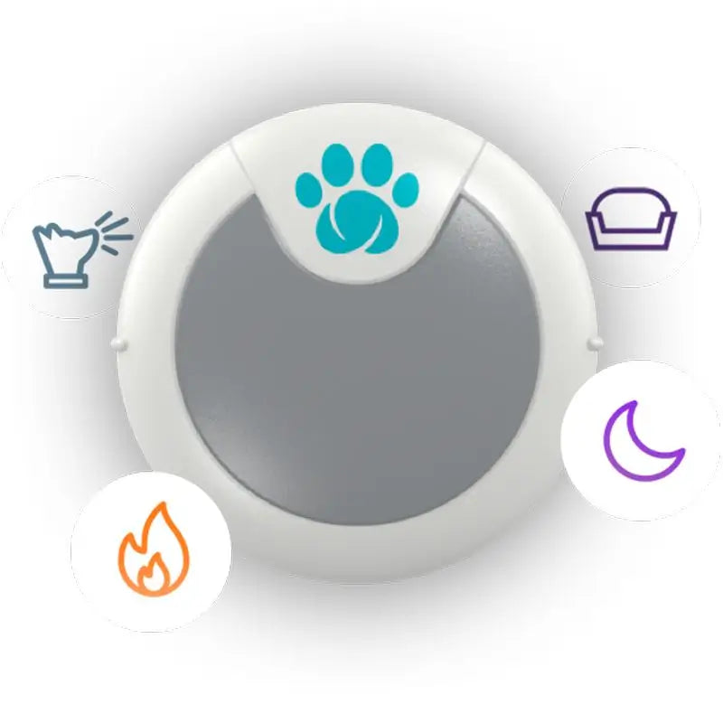 Buy Sure PetCare Animo Behaviour and Activity Monitor For Dogs