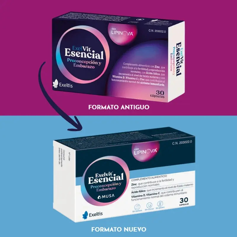 Exeltis Essential Food Supplement Pregnancy & Preconception, 2 x 30 Capsules