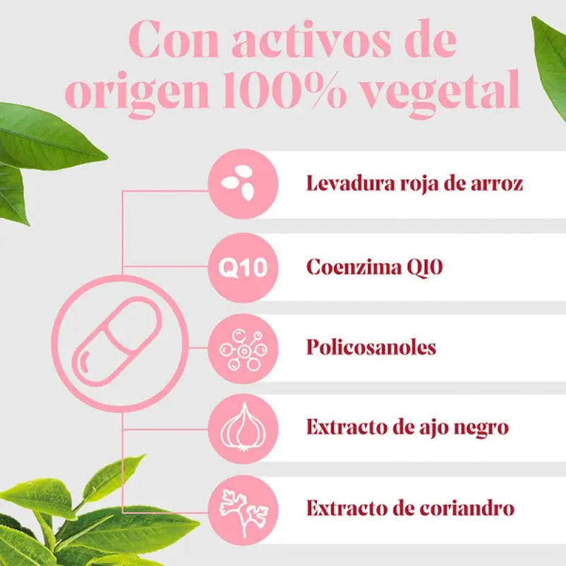 Arkosterol Plus Pack 60 Capsules Arkopharma