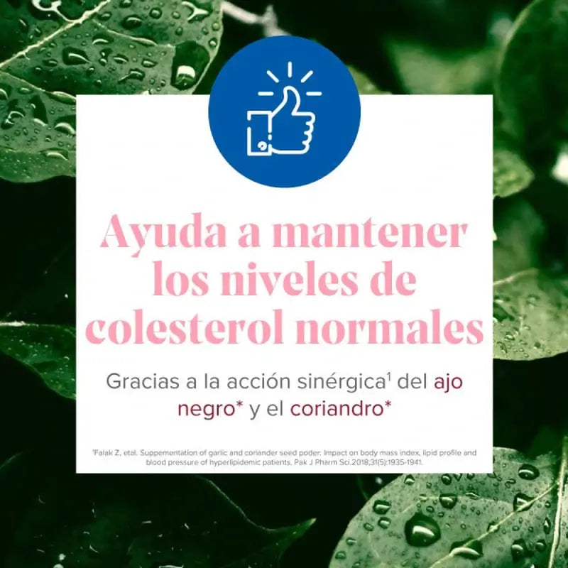 Arkosterol Plus Pack 60 Capsules Arkopharma