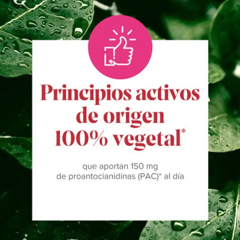 Arkopharma Cis-Control Cranberola 120 Capsules