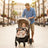 Asalvo Stroller Fiyi Beige