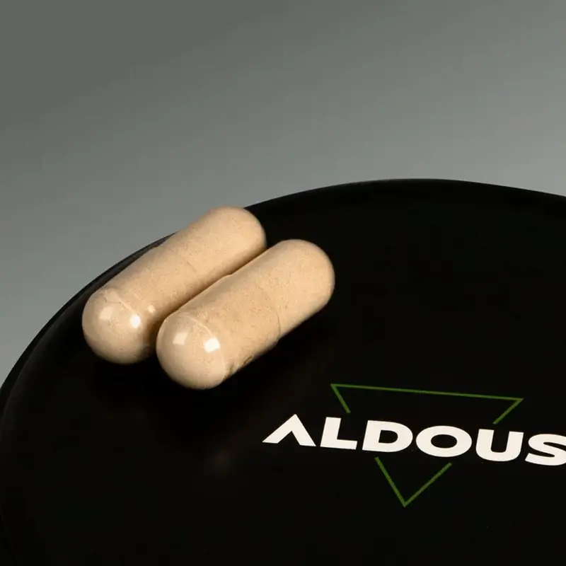 Aldous Ashwagandha Ksm-66 Organic, 600 mg