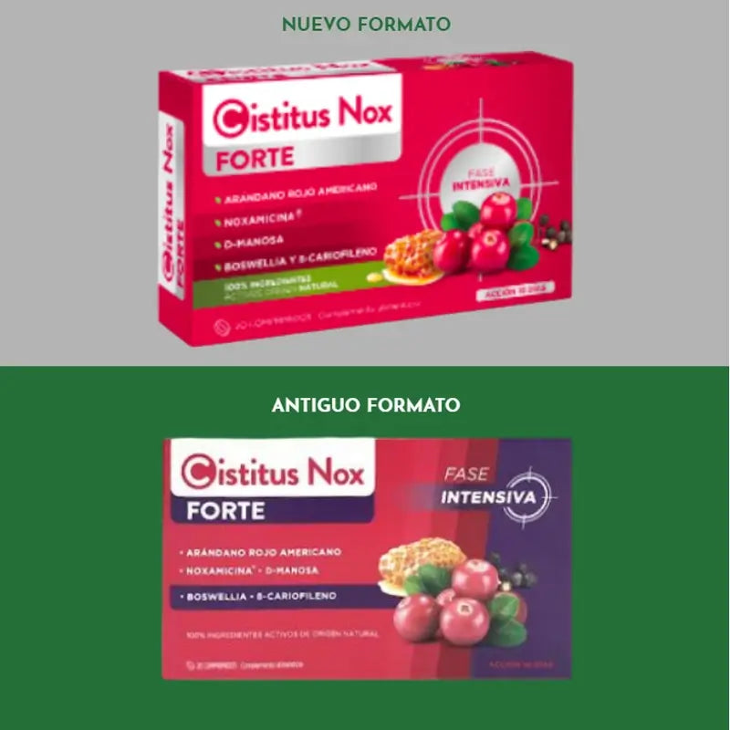 Cistitus Nox Forte, 20 tablets