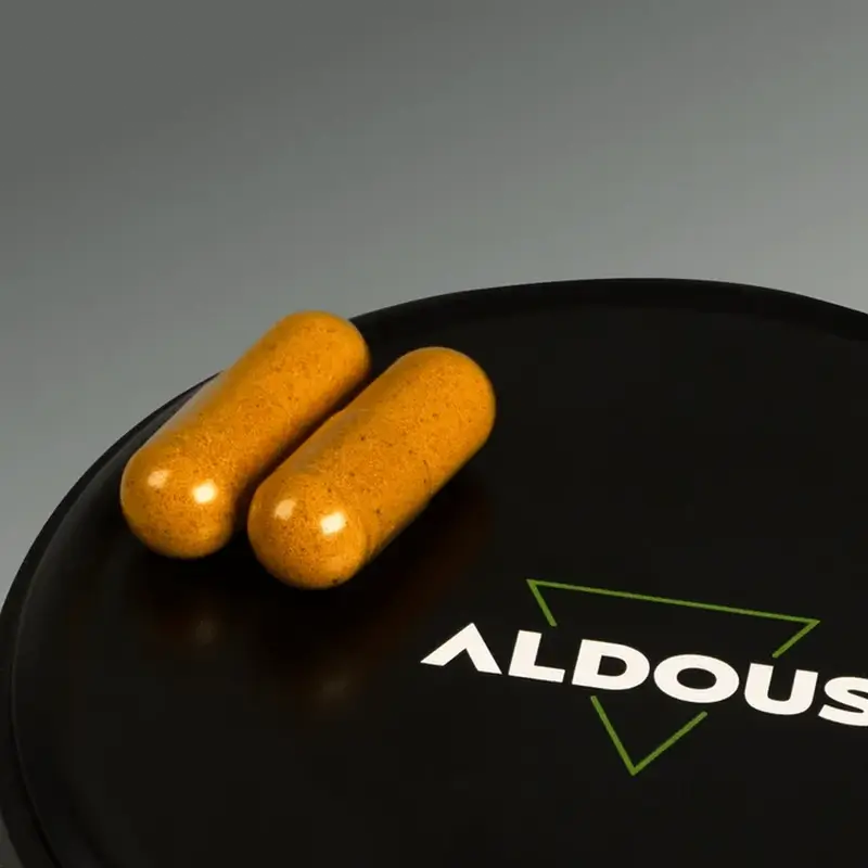 Aldous Bio Turmeric with Ginger and Black Pepper with Probiotics, 250 capsules