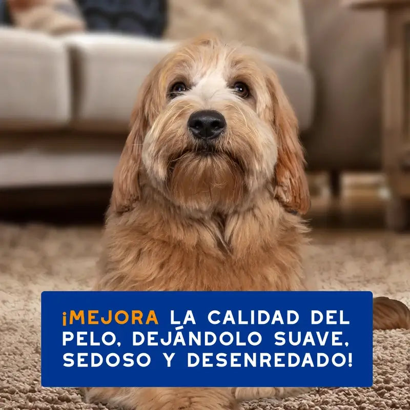 Douxo Skin & Coat Spa 2 In 1 Dog Shampoo & Conditioner, 250 ml