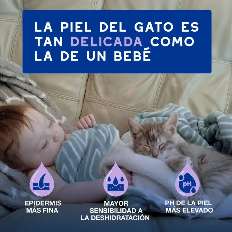 Douxo Skin & Coat Spa Ultra Gentle Cleansing For Stress-Free Cat Cleansing, 150 ml