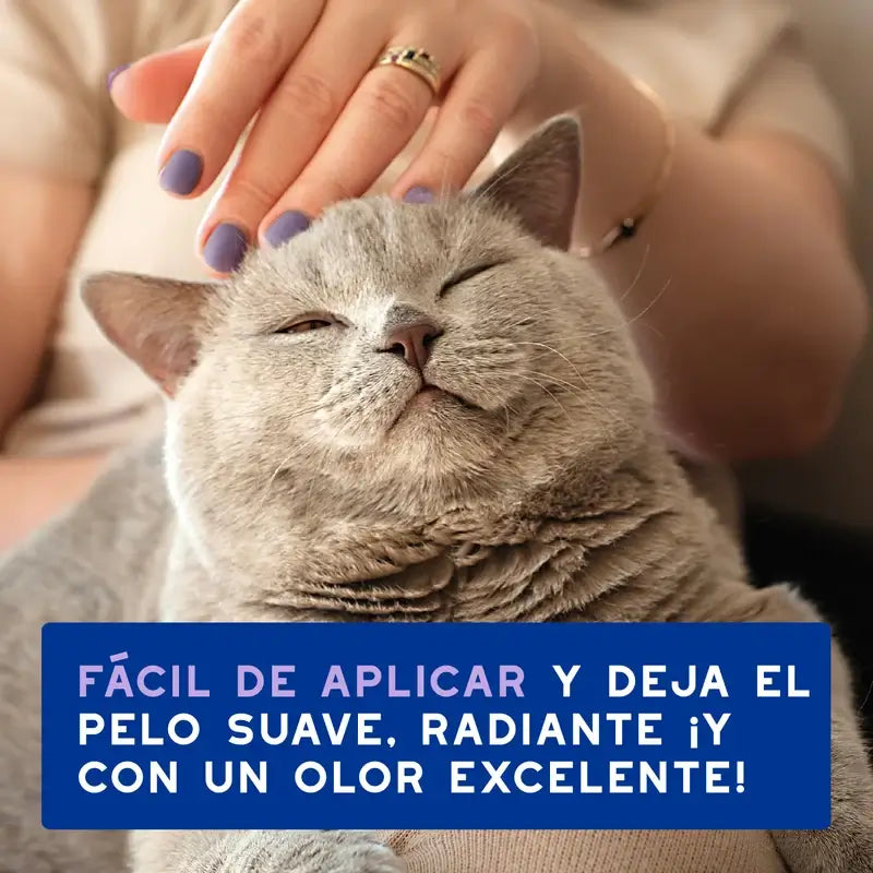 Douxo Skin & Coat Spa Ultra Gentle Cleansing For Stress-Free Cat Cleansing, 150 ml