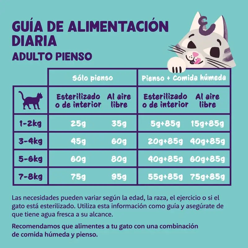 Edgar & Cooper Pienso Para Gatos 4kg Adult  Salmón Fresco Del Atlántico, Arándanos, Albahaca Y Eneldo
