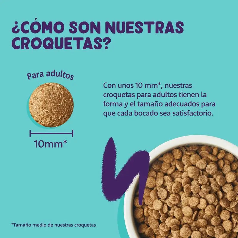 Edgar & Cooper Pienso Para Gatos 4kg Adult  Salmón Fresco Del Atlántico, Arándanos, Albahaca Y Eneldo