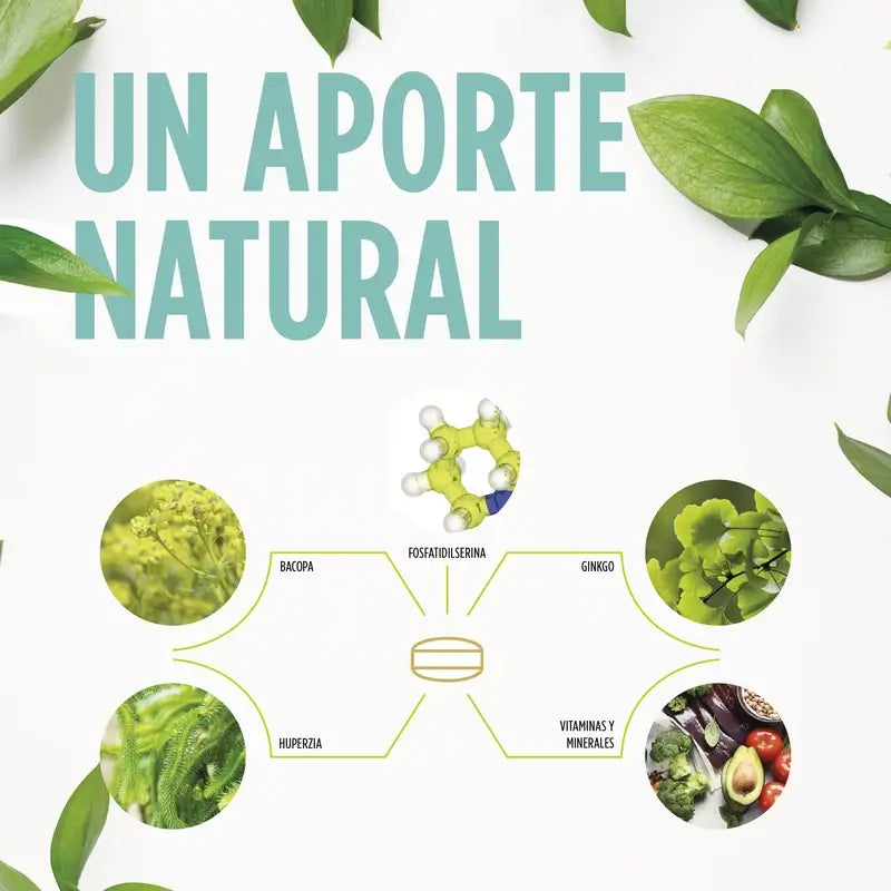 Eladiet Cogniben Plus, 30 tablets