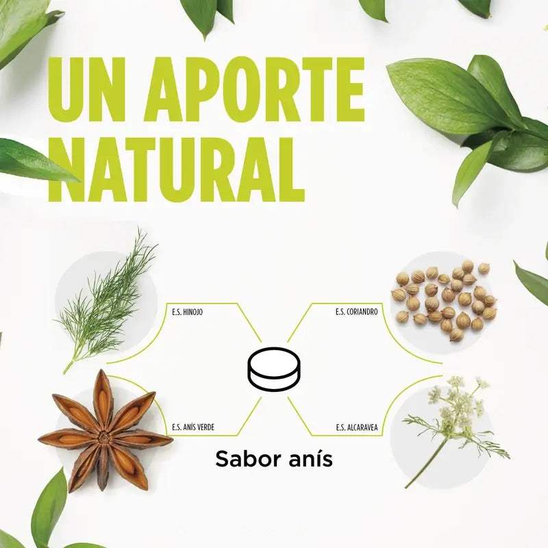 Eladiet Digest Aciflux Protect 30 tablets