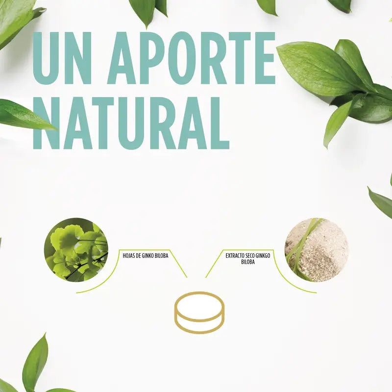 Eladiet Ginkoro, 90 tablets