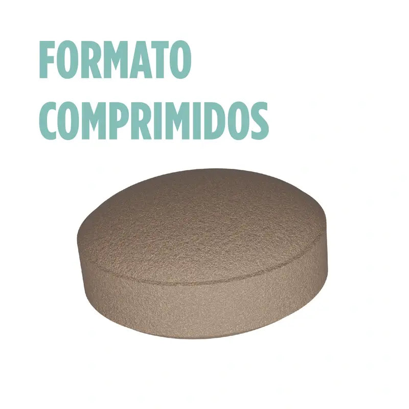 Eladiet Ginkoro, 90 tablets