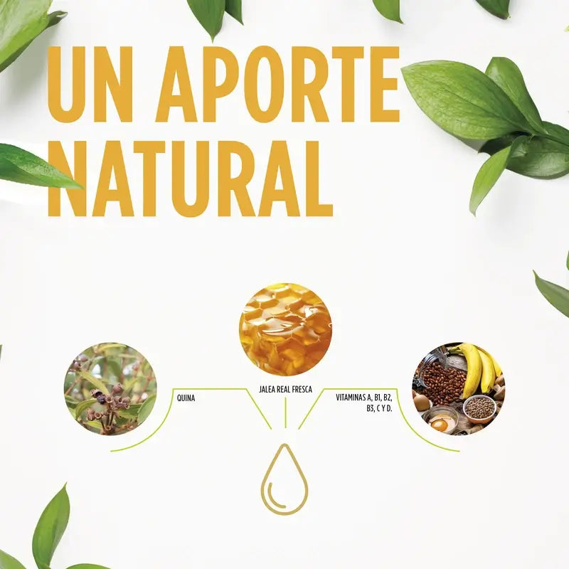 Eladiet Jelly Kids Apetit, 250 ml