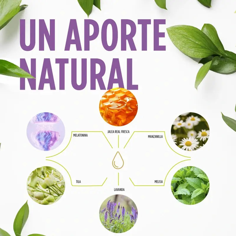 Eladiet Jelly Kids Sweet Dreams With Melatonin, 250 ml