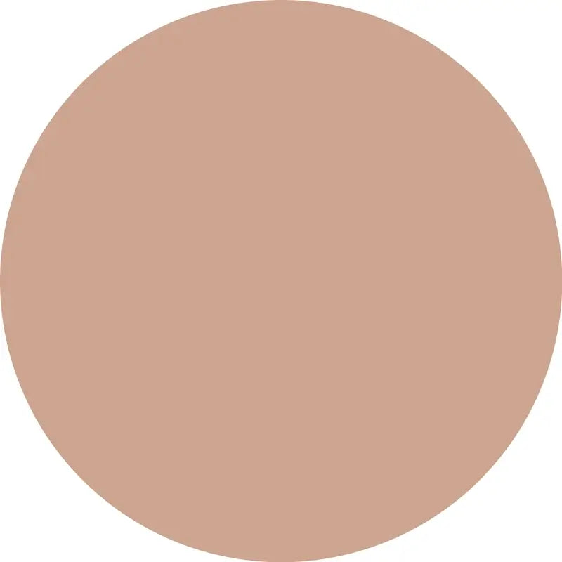 Essence Concealer Camouflage+ Matt 160 , 8 ml