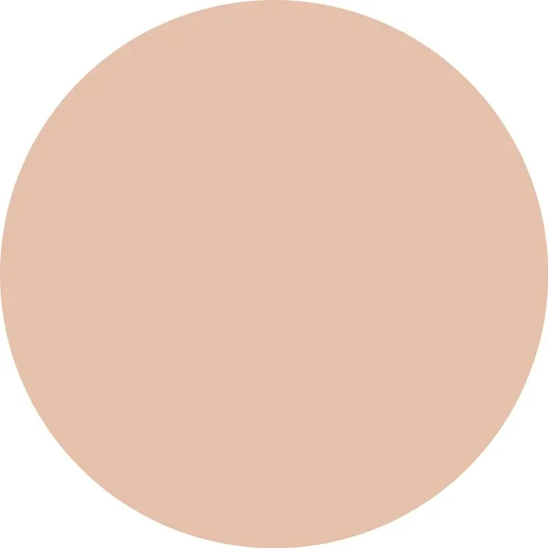 Essence Concealer Camouflage+ Matt 20 , 8 ml