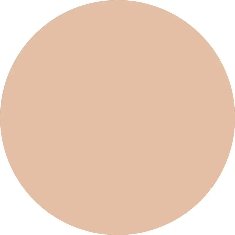 Essence Concealer Camouflage+ Matt 70 , 8 ml
