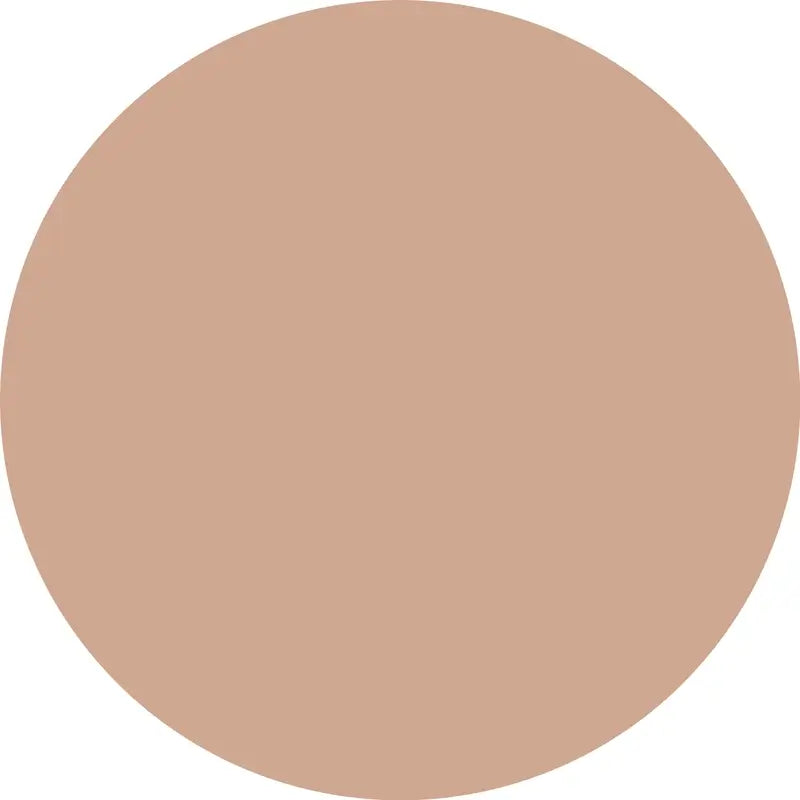 Essence Concealer Camouflage+ Matt 90 , 8 ml