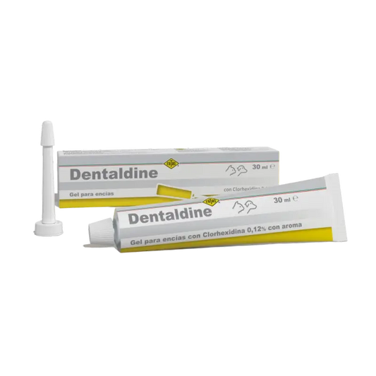 Fatro Dentaldine Oral Gel, 30 ml