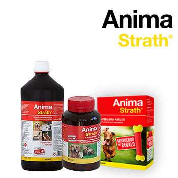 STANGEST ANIMA STRATH 25% DISCOUNT (31 DECEMBER 2025)