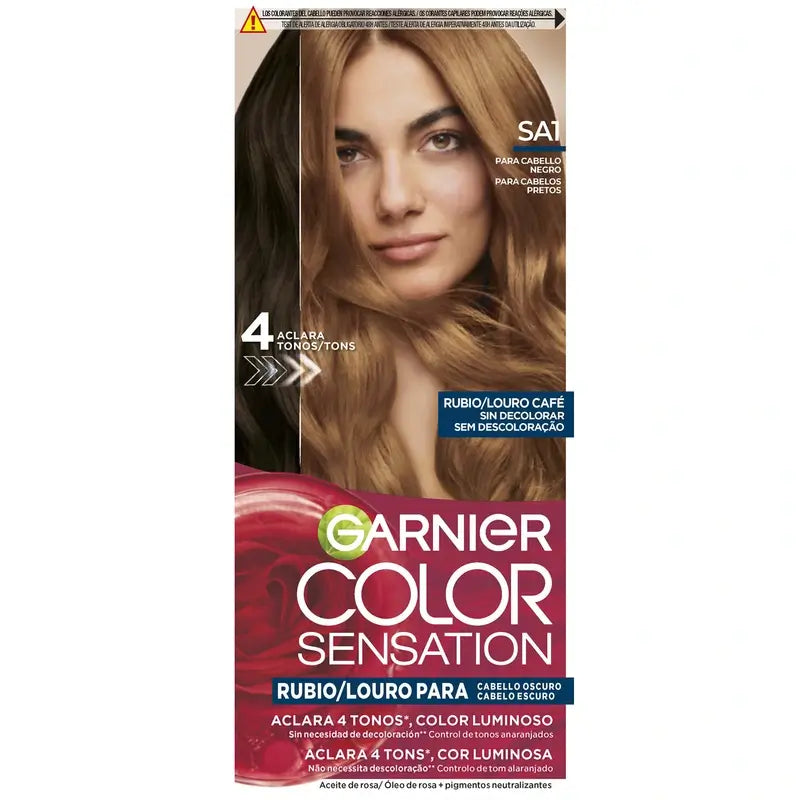 Garnier Colour Sensation Mkit Sa1 Black Hair