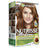 Garnier Nutrisse Permanent Colour Permanent Colour Intense Brown Shade 6,41 , 160 ml