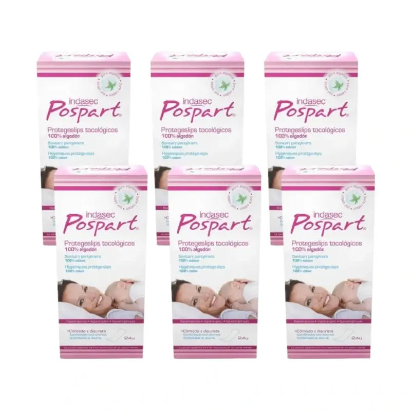 Indasec Pospart Protegeslip , 6 x 24 units