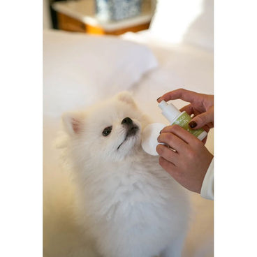 Masco Beauty Eye Cleanser For Dogs, 30ml