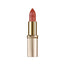 L'Oréal Paris Color Riche 108 Brun Cuivre Rose Brown Lipstick