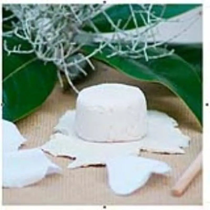 Nitx Nourishing Solid Shampoo 85Gr.