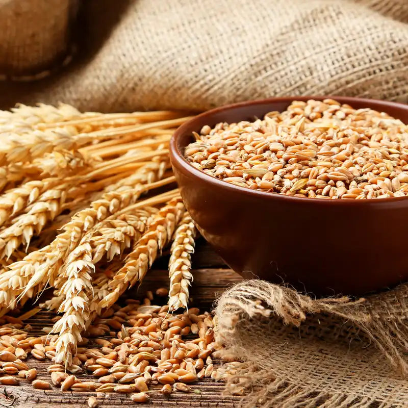 OGX Biotin & Collagen Shampoo, Fine Hair, 385 ml