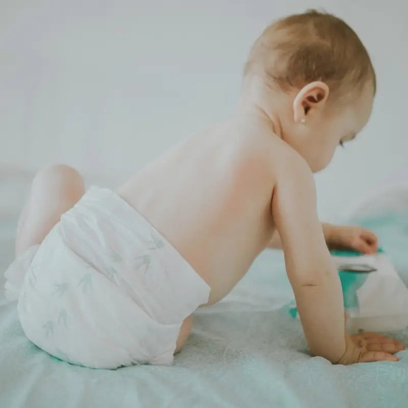 Pingo Ecological Nappy Size 3 Midi, Pack 2 X 44 Pcs.