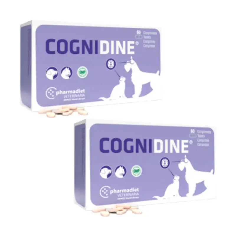 Cognidine Pack, Pack 2 x 60 Tablets