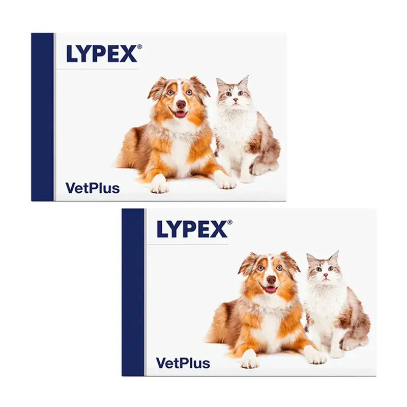 Lypex Blister, Pack 2 x 60 Capsules